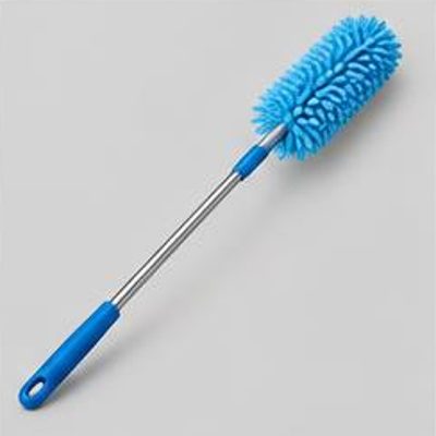 Duster with Extension Pole