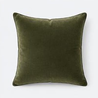 Velvet Accent Cushion
