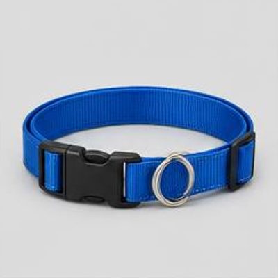 Adjustable Dog Collar