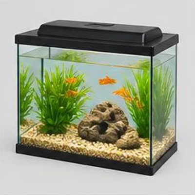 Fish Tank Starter Kit