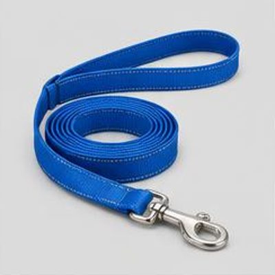 Nylon Dog Leash, 6 ft