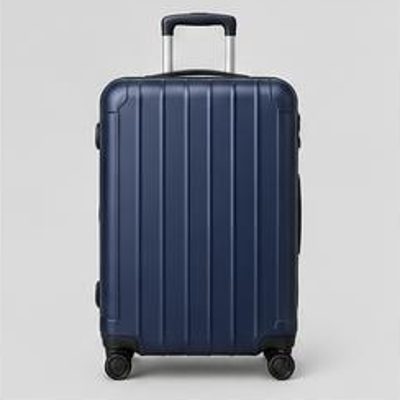 Checked Spinner Suitcase